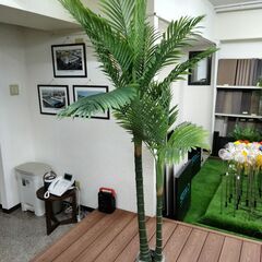③【処分価格】新品 アレカヤシ(195cm)　人工観葉植物 フェ...