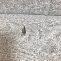 【親族の代理出品】ソファ　2人掛け　北欧グレーの画像