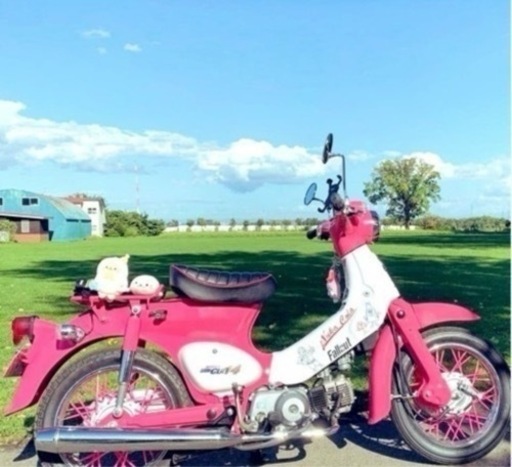 【商談中】ホンダ リトルカブ C50