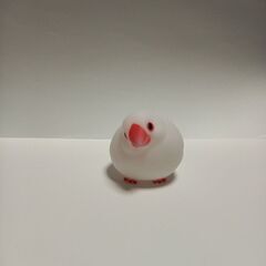 リトルバードライト　ハク文鳥