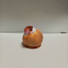 リトルバードライト　シナモン文鳥の画像