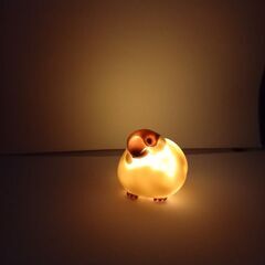 リトルバードライト　シナモン文鳥の画像