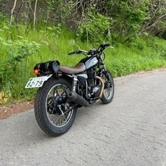 250TR  カスタムの画像