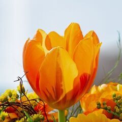 「我慢ばかりの会社員をやめて、自分らしく働きたい！」人へ🌷（オン...