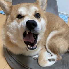 お友達募集