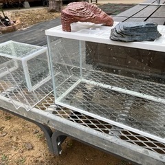 【受け渡し者決まりました】水槽2個と置物、浮石の画像