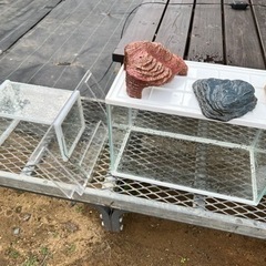 【受け渡し者決まりました】水槽2個と置物、浮石の画像