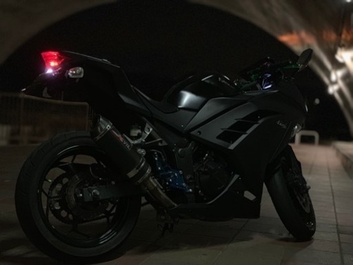 ニンジャ250