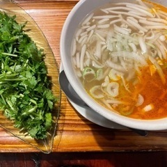 パクチー🌿フレンズ募集中！ - 世田谷区