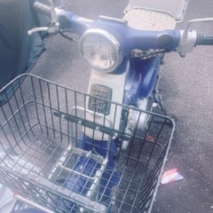 カブ