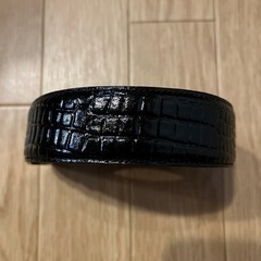 ダンヒルベルトの画像
