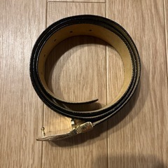 ダンヒルベルトの画像