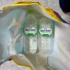 【未使用】 ルーニー・テューンズ バッグの画像