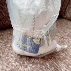 ソダシ　アイドルホース　桜花賞の画像