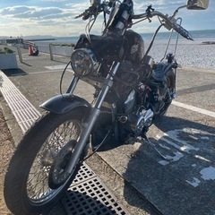 国産アメリカン　メンバー募集 − 大阪府