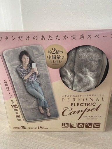 受け取り者決定 洗える電気カーペット