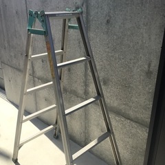 （お話中）脚立　の画像