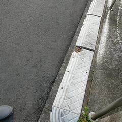 段差プレート、割れあり、 0円！の画像