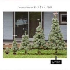 クリスマスツリーの画像
