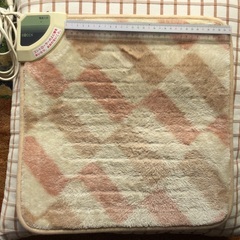 電気ミニマット