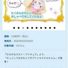 だっこしておせわして♡プリンセスエルちゃんの画像