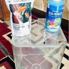 水槽 お手軽サイズ 金魚 熱帯魚 蓋付き