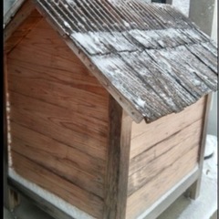 終了しました 「金山杉』で作った頑丈な犬小屋の画像