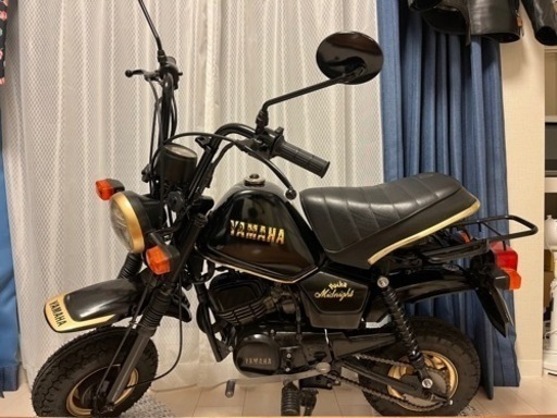 【美品】エボナイト　エマージハイブリッド　15P中古