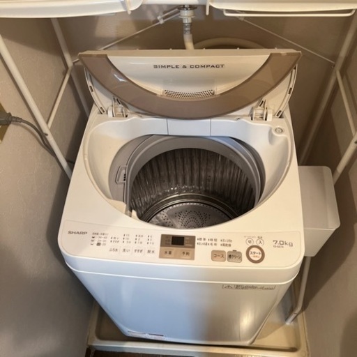 家電 生活家電 洗濯機