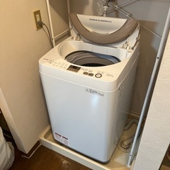 家電 生活家電 洗濯機