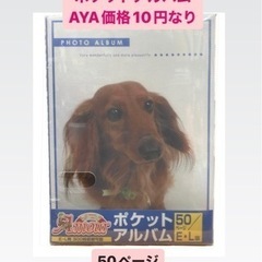 夲日の目玉❣️アルバム◆50ページ◆300枚収納