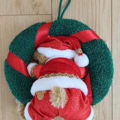 ダッフィー クリスマスリースの画像