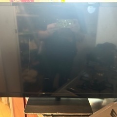 REGZA TV