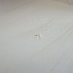 ☆本棚 ブックラック 幅585mm 奥行260mm 高さ1585mm 白 書棚 ホワイト フリーラック 書庫 札幌 北20条店の画像