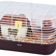 【新品】　GEX ショコラハウスの画像