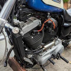 ハーレー スポーツスター XL1200R 2004年式 キャブ 走行15800km 一時抹消済 HARLEY-DAVIDSON SPORTSTERの画像