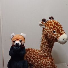 レッサーパンダ&特大キリンぬいぐるみ