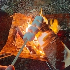 【突発】年末に焚き火を囲んで焼き芋を焼いたり酒を呑む会