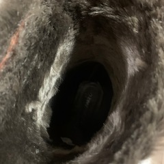 ブーツ　24㎝、25㎝ぐらいの画像