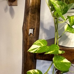 アジアン家具　棚　シェルフ　ビンテージの画像