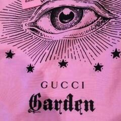 非常に入手困難‼️【日本未入荷・限定品】 GUCCI トート•正規品の画像