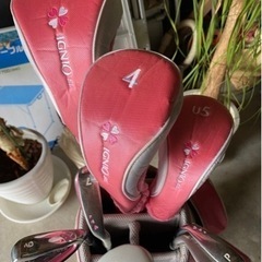 レディース ゴルフクラブ8本セット ＆シューズの画像