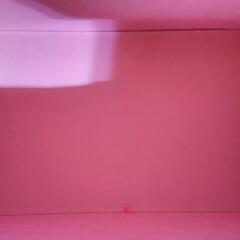 ディズニー（プリンセス）収納ケースの画像