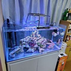 *SALE35000円*オーバーフロー水槽セット9045X