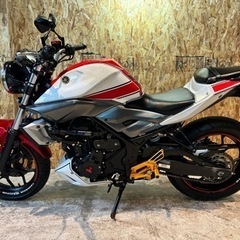 【カスタム多数!!距離まだ5000km少し🤏】MT-25 カラー...