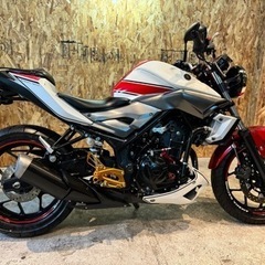 【カスタム多数!!距離まだ5000km少し🤏】MT-25 カラーリングが最高です😌の画像