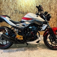 【カスタム多数!!距離まだ5000km少し🤏】MT-25 カラーリングが最高です😌の画像