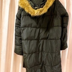 INGNIの画像
