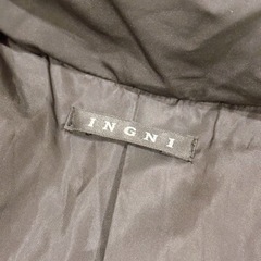 INGNIの画像