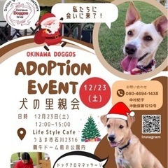🐶犬の里親会🐕ドックアロママッサージ🐾犬の整体🐩